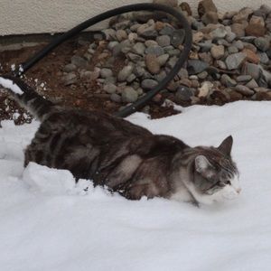 Meet your Posher, Shawna